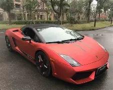 惊爆,利物浦铁卫,伊萨克重伤,易倍体育平台,易倍体育官方网站,易倍体育登录入口,易倍体育app下载