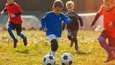 易倍体育 产品 095611 bsh