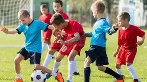 易倍体育 资讯 114624 qjz