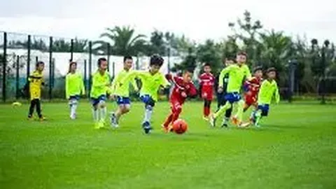 易倍体育 产品 114618 fmg