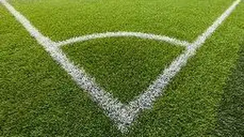 易倍体育 产品 114811 max