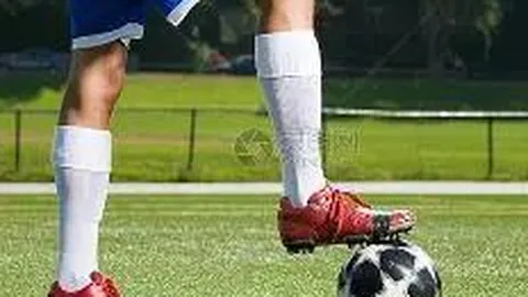 易倍体育 产品 114752 s1n